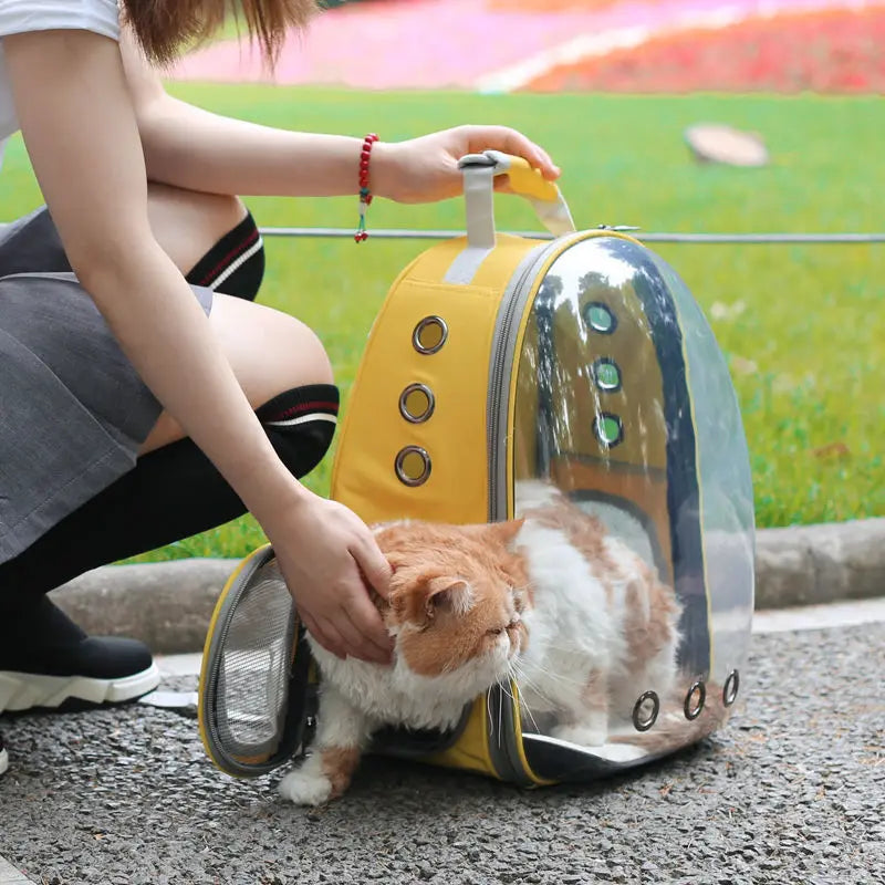 Travel Transparent Pet Cat Handbag Outdoor Portable Cat Backpack Puppy Breathable Handbag Take-Out Pet Supplies