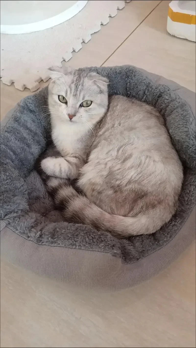 Soft Warm Dog Bed Pets Basket Cat House Sofa for Medium Large Dog Sofa Bed Cushion Dog Bed House Pet Supplies Accessories2025new