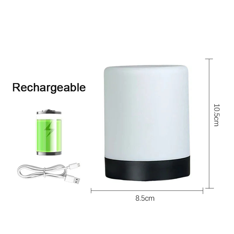 LED Night Light Touch Stepless Dimmable LED Table Lamp USB Portable Bedside Lamp for Bedroom Decor Sleeping Night Light Kid Gift
