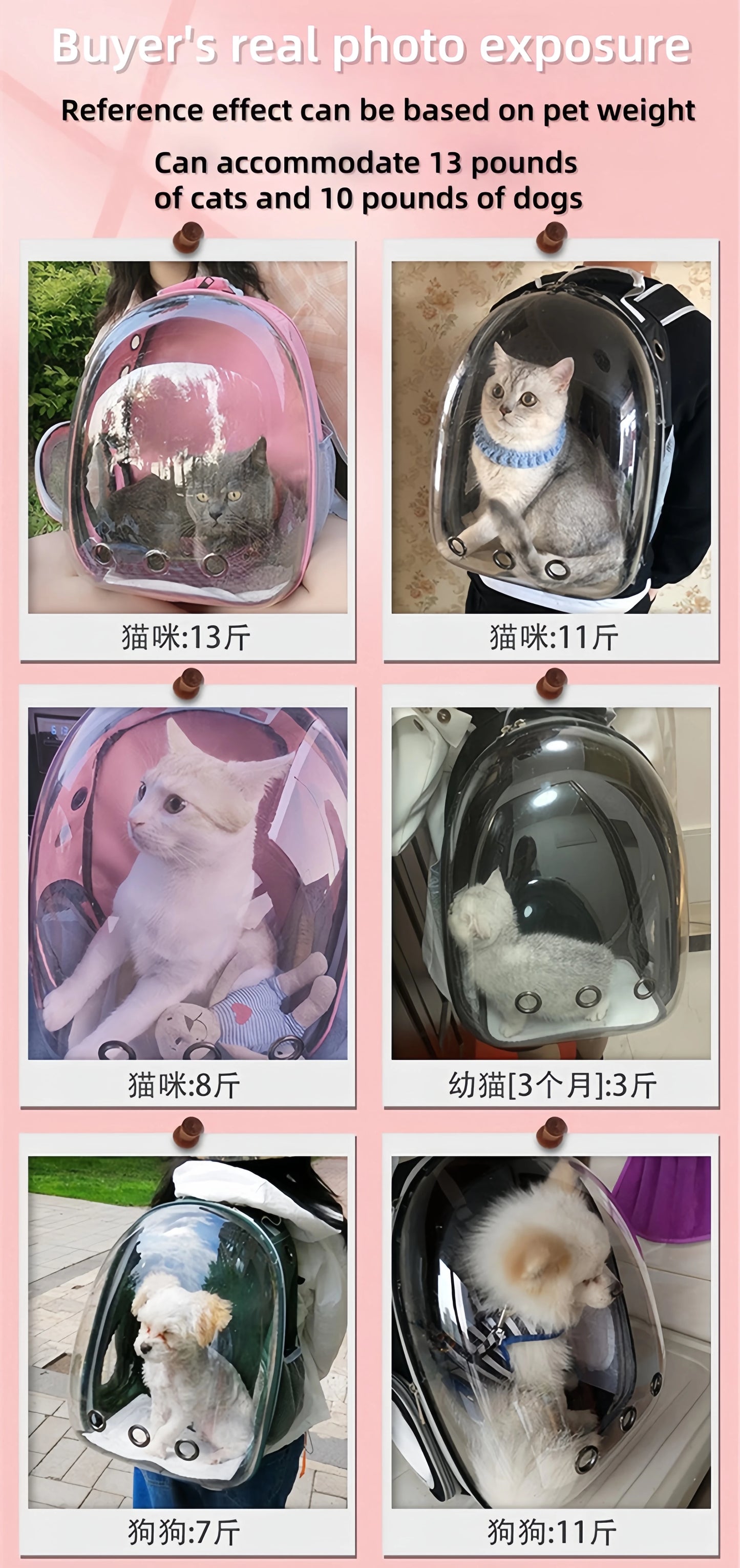 Travel Transparent Pet Cat Handbag Outdoor Portable Cat Backpack Puppy Breathable Handbag Take-Out Pet Supplies