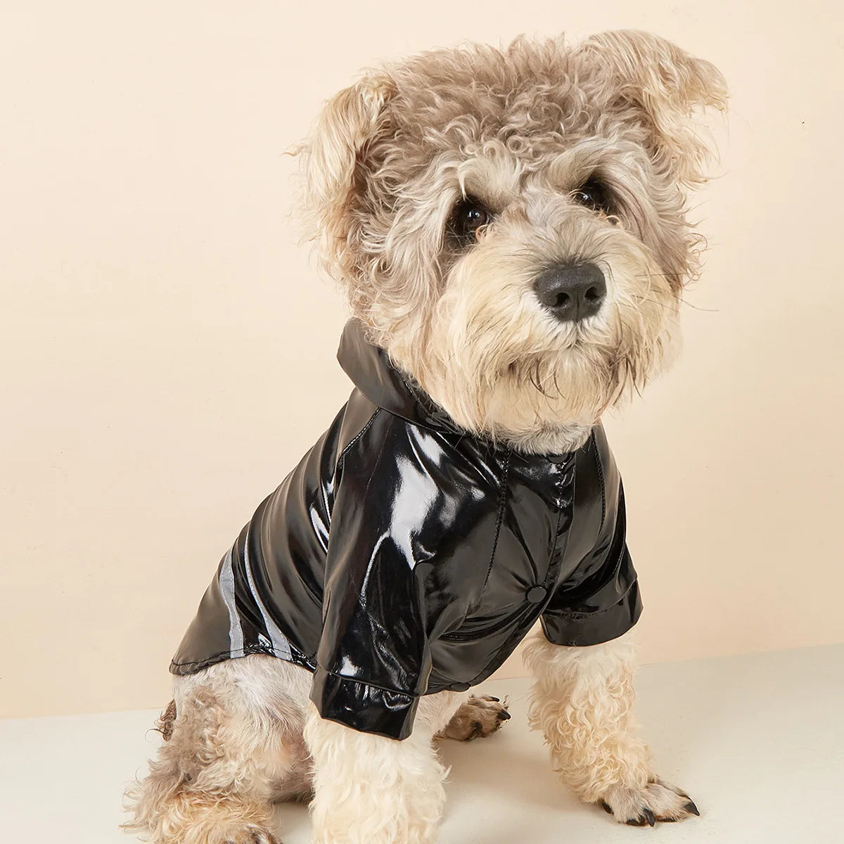 Small Dog Raincoat Reflective Waterproof Windproof Pet Dog Coat Puppy Cats Raincoat Chihuahua Bulldog Pets Cape Poncho Clothes