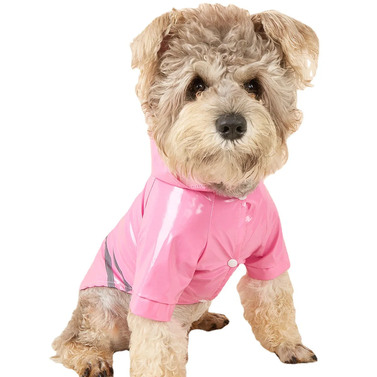 Small Dog Raincoat Reflective Waterproof Windproof Pet Dog Coat Puppy Cats Raincoat Chihuahua Bulldog Pets Cape Poncho Clothes