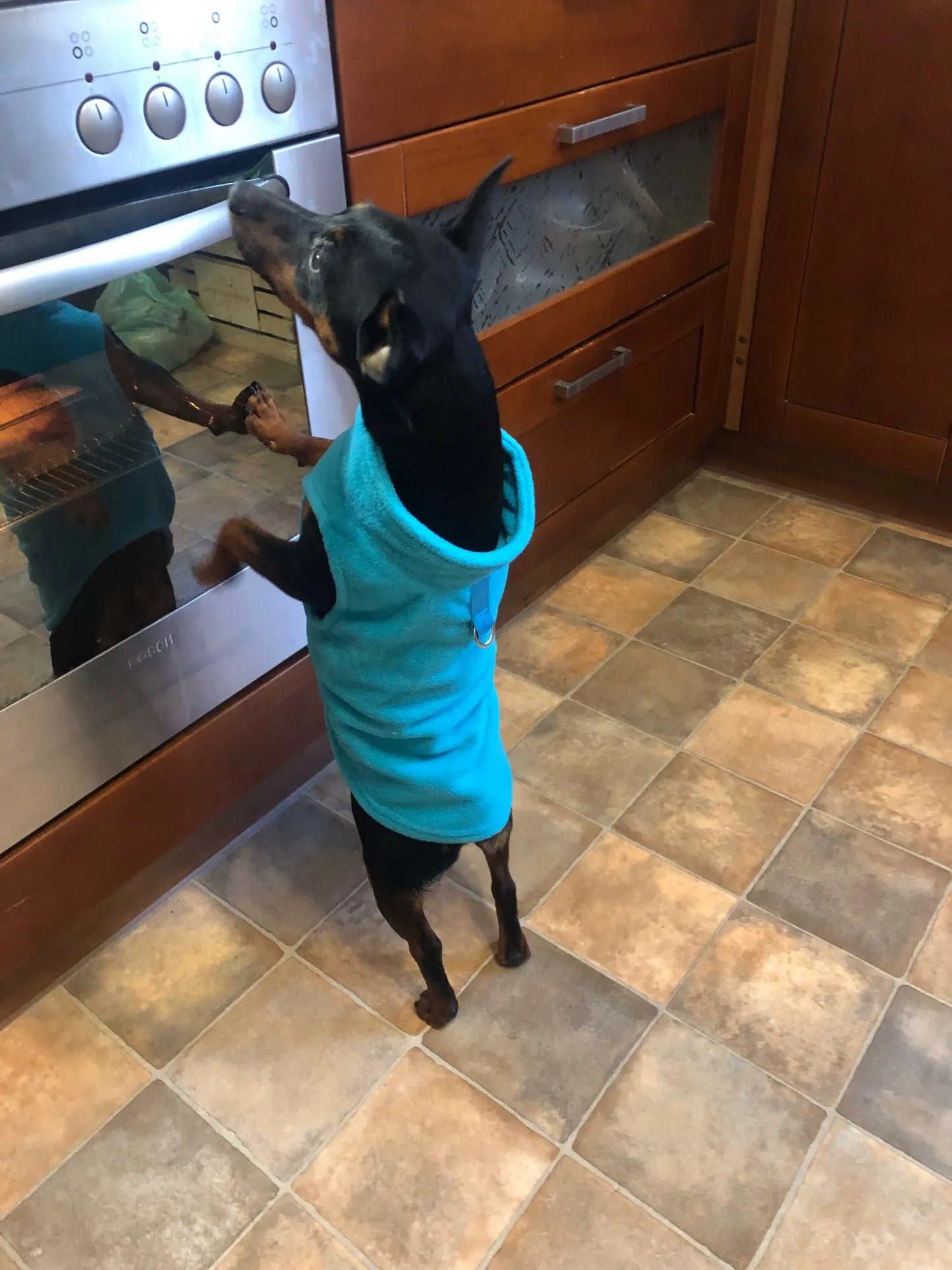 Winter Warm Fleece Dogs Clothes Soft Pet Jacket Vest with D-Ring for Small Puppy Cats Coat Chihuahua French Bulldog Pug Costume