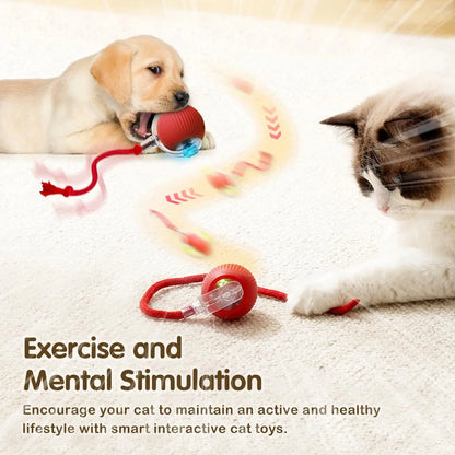 Cat Interactive Ball Toy, Automatic Rolling Ball with Tail, Rechargeable Smart Pet Interactive Toy, Intelligent Mouse for Cat
