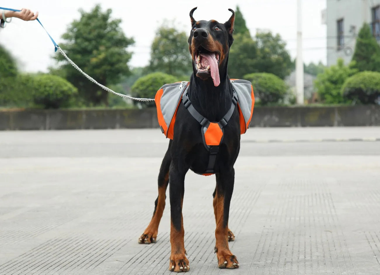 Portable dog backpack, snack bag, dog training bag, storage bag, backpack, travel bag, reflective tape backpack and back pocket