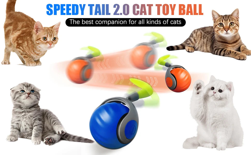New Interactive Cat Toys Ball Auto Electric Rolling Ball Toys for Cat Kitty Pet Smart Automatic Teaser USB Rechargeable Cat Toy