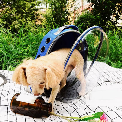 Manufacturer directly supplies cat bags, pet backpacks, portable and transparent space capsules, cat supplies, breathable backpa