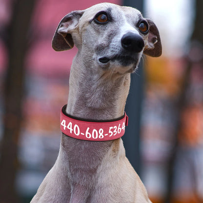 Customized Leather Dog Collar Personalized Wide Padded ID Collars Free Print Name Number For Medium Large Dogs Dogs Greyhound