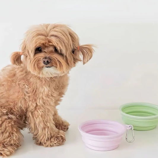 350ml Macaron Pet Bowl TPE Cartoon Pattern Puppy Feeding Bowl Collapsible with Hanging Holes Portable Pet Bowl for Dogs Cats