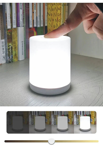 LED Night Light Touch Stepless Dimmable LED Table Lamp USB Portable Bedside Lamp for Bedroom Decor Sleeping Night Light Kid Gift