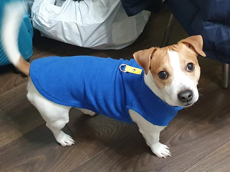 Winter Warm Fleece Dogs Clothes Soft Pet Jacket Vest with D-Ring for Small Puppy Cats Coat Chihuahua French Bulldog Pug Costume