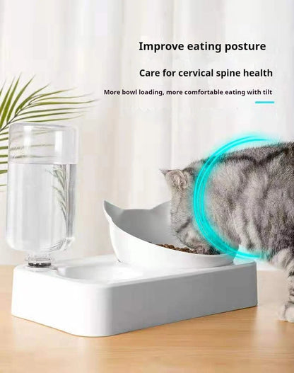 Double Dog Cat Bowls Water and Food Bowl  Tilted15 Degrees Raised Cat Bowls with Automatic Water Bottle-Pet Feeder