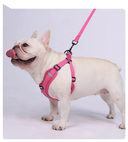 Dog Harness Leash Set Small Medium Dog Cat Chest Strap Adjustable Reflective Breathable Walking Training Vest Pet Accessories