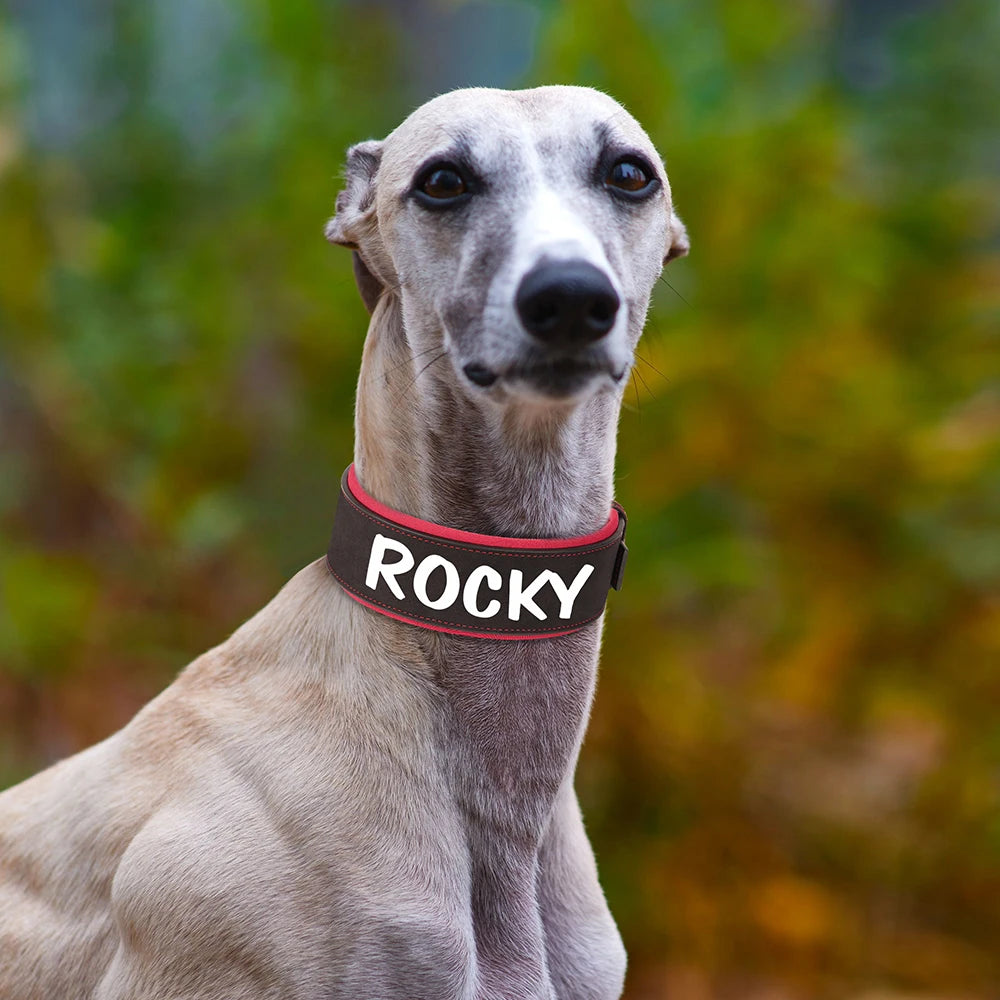 Customized Leather Dog Collar Personalized Wide Padded ID Collars Free Print Name Number For Medium Large Dogs Dogs Greyhound