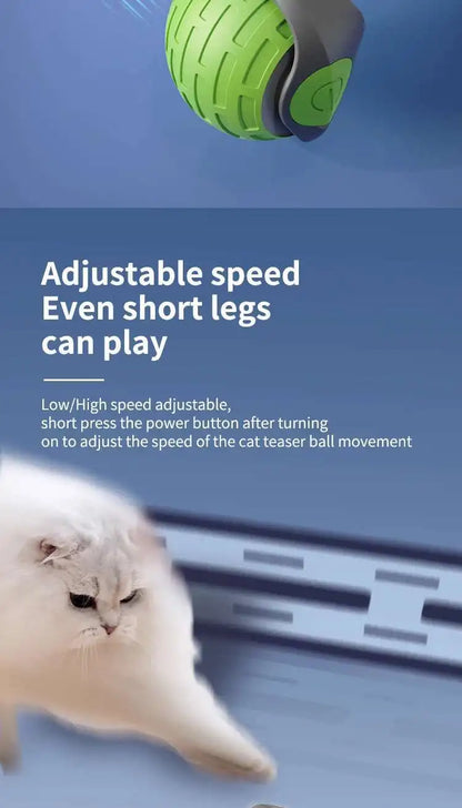 Smart Interactive Cat Toys Ball Automatic Rolling Ball with Faux Tail USB Rechargeable Electric Pet Toy for Teaser and Training