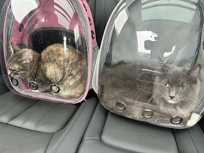 Cat Bag Breathable Clear Space Capsule Cat Backpack for Cat Portable Outdoor Travel Pet Shoulder Bag Pet Outgoing Backpack