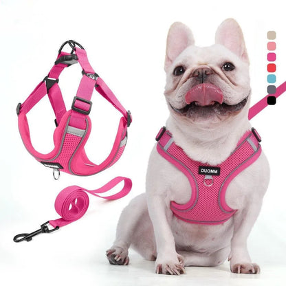 Dog Harness Leash Set Small Medium Dog Cat Chest Strap Adjustable Reflective Breathable Walking Training Vest Pet Accessories