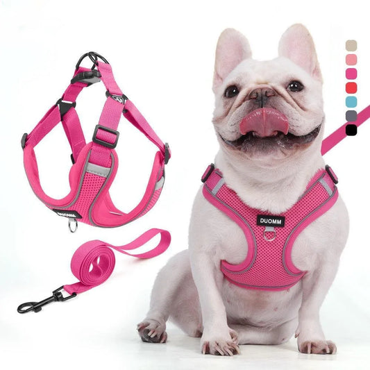 Dog Harness Leash Set Small Medium Dog Cat Chest Strap Adjustable Reflective Breathable Walking Training Vest Pet Accessories
