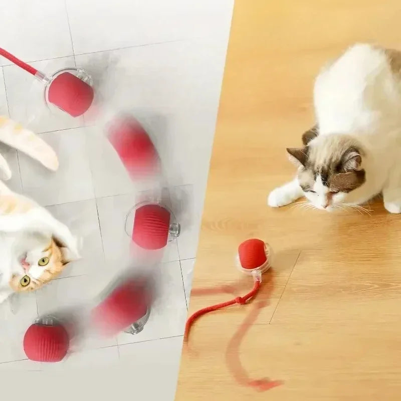 Cat Interactive Ball Toy, Automatic Rolling Ball with Tail, Rechargeable Smart Pet Interactive Toy, Intelligent Mouse for Cat