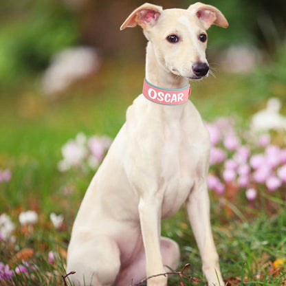 Customized Leather Dog Collar Personalized Wide Padded ID Collars Free Print Name Number For Medium Large Dogs Dogs Greyhound