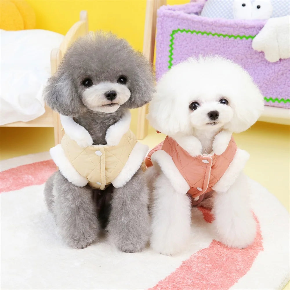 Pet Apparel Cat Dog Autumn Winter Thickness Warm Bow Princess Dress Suitable for Small Medium Dog Costume