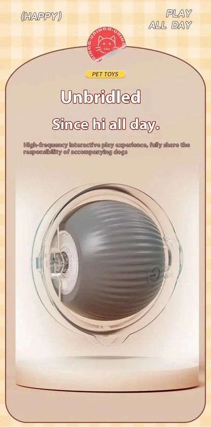 Smart Interactive Cat Toys Ball Automatic Rolling Ball with Faux Tail USB Rechargeable Electric Pet Toy for Teaser and Training