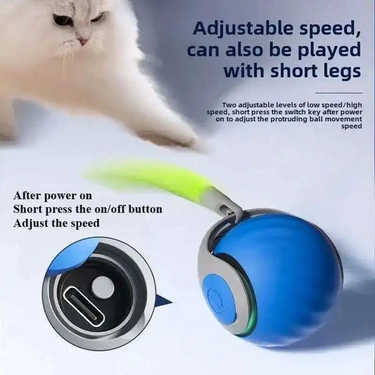 Smart Interactive Cat Toys Ball Automatic Rolling Ball with Faux Tail USB Rechargeable Electric Pet Toy for Teaser and Training