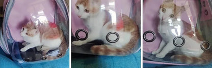 Travel Transparent Pet Cat Handbag Outdoor Portable Cat Backpack Puppy Breathable Handbag Take-Out Pet Supplies