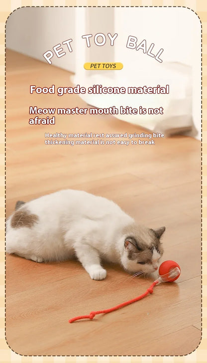 Smart Interactive Cat Toys Ball Auto Electric Rolling Ball Toys for Cat Kitty Pet Automatic Training USB Rechargeable Cat Toy