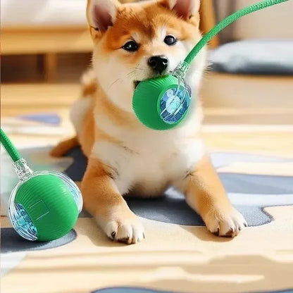 Cat Interactive Ball Toy, Automatic Rolling Ball with Tail, Rechargeable Smart Pet Interactive Toy, Intelligent Mouse for Cat