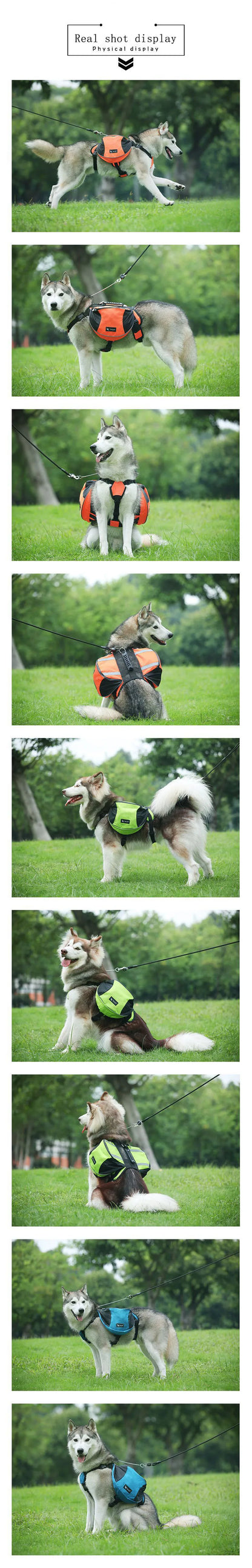 Portable dog backpack, snack bag, dog training bag, storage bag, backpack, travel bag, reflective tape backpack and back pocket