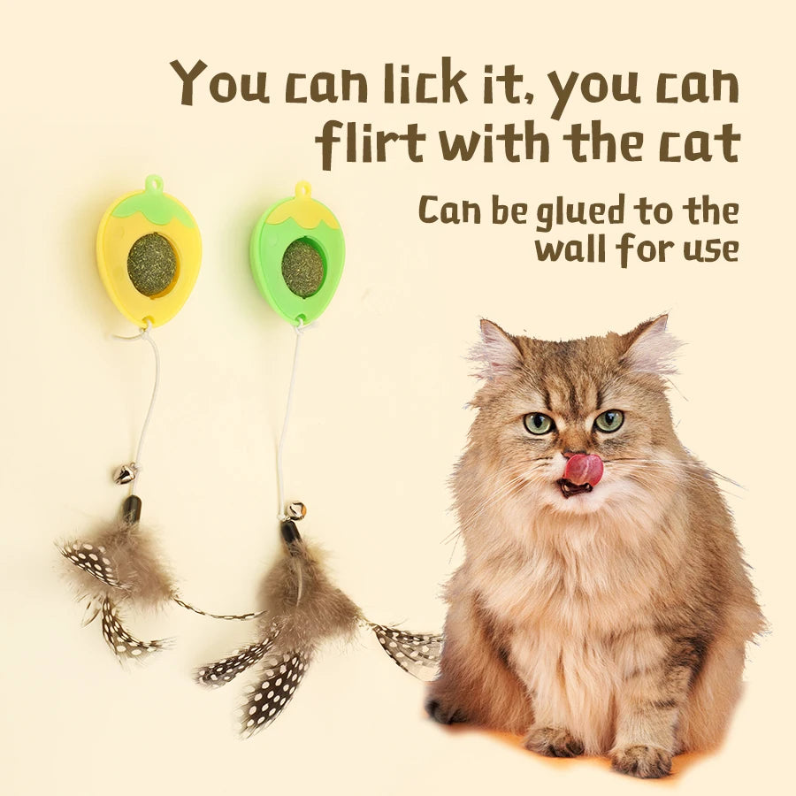 Natural Catnip Balls, delight your cat with healthy kittenteething chew toys, interactive cat teeth cleaning toys