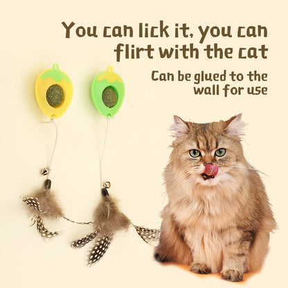 Natural Catnip Balls, delight your cat with healthy kittenteething chew toys, interactive cat teeth cleaning toys