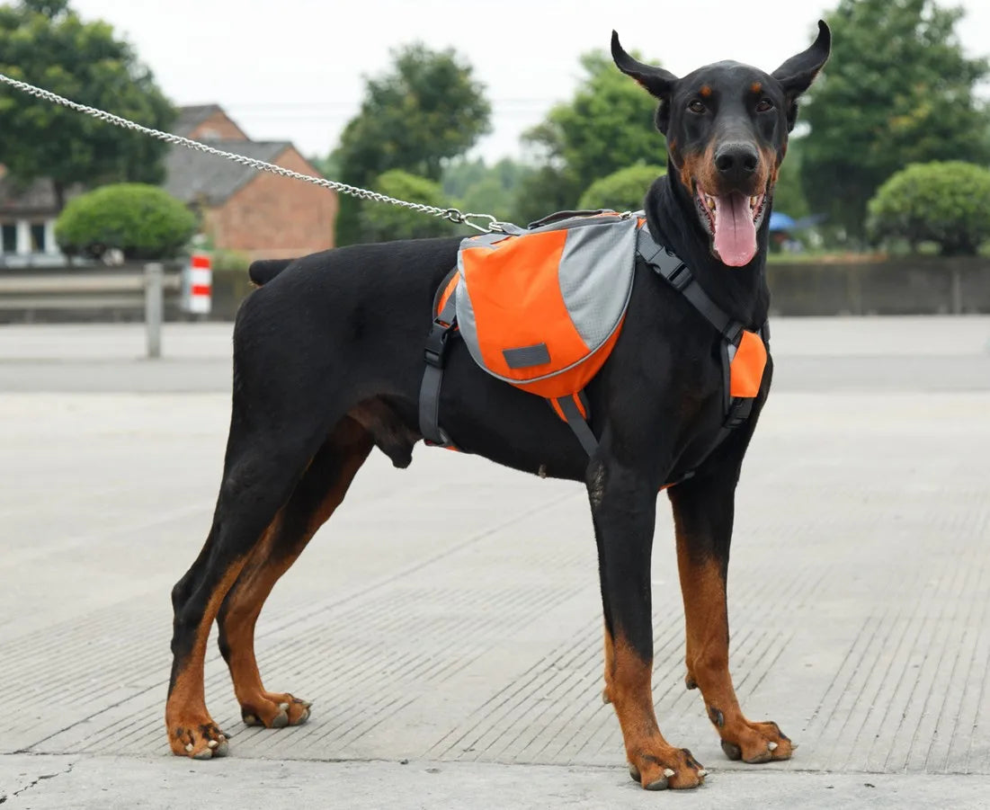 Portable dog backpack, snack bag, dog training bag, storage bag, backpack, travel bag, reflective tape backpack and back pocket
