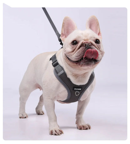 Dog Harness Leash Set Small Medium Dog Cat Chest Strap Adjustable Reflective Breathable Walking Training Vest Pet Accessories