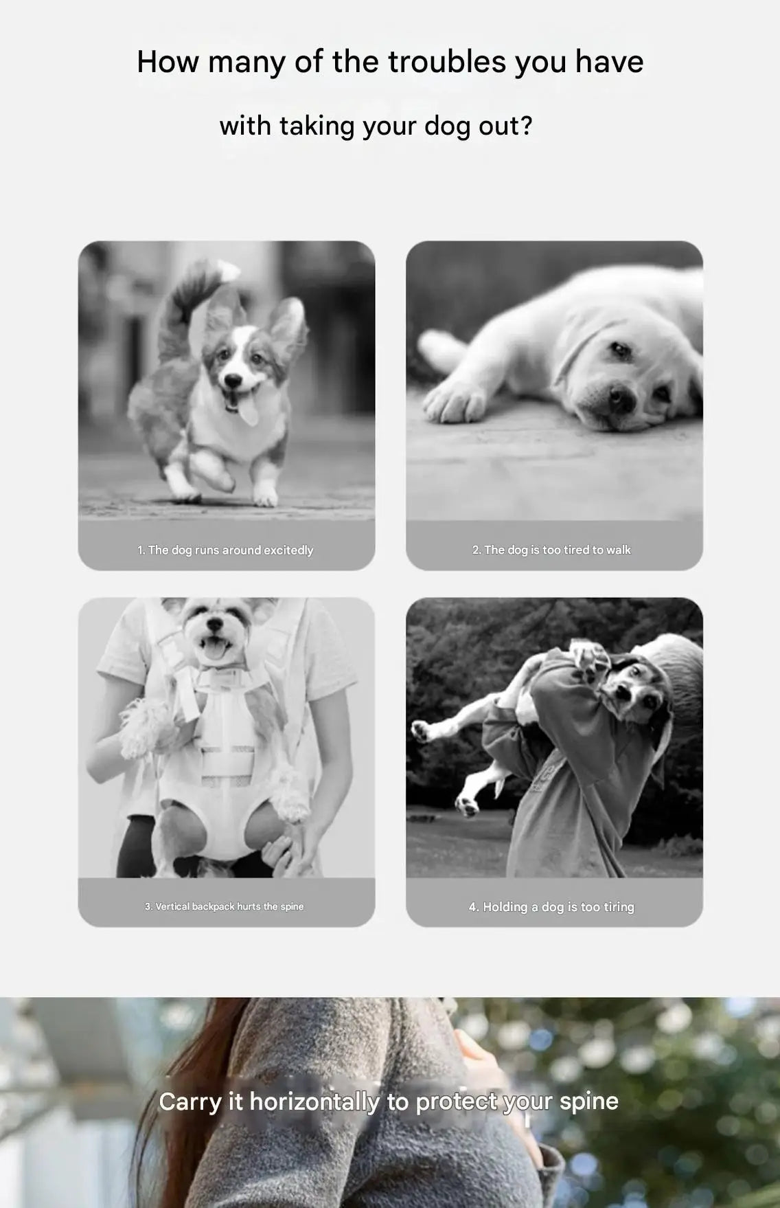 Practical and Stylish Hipipet Pet Carrier with Adjustable Straps and Handy Pocket for Easy Pet Transport