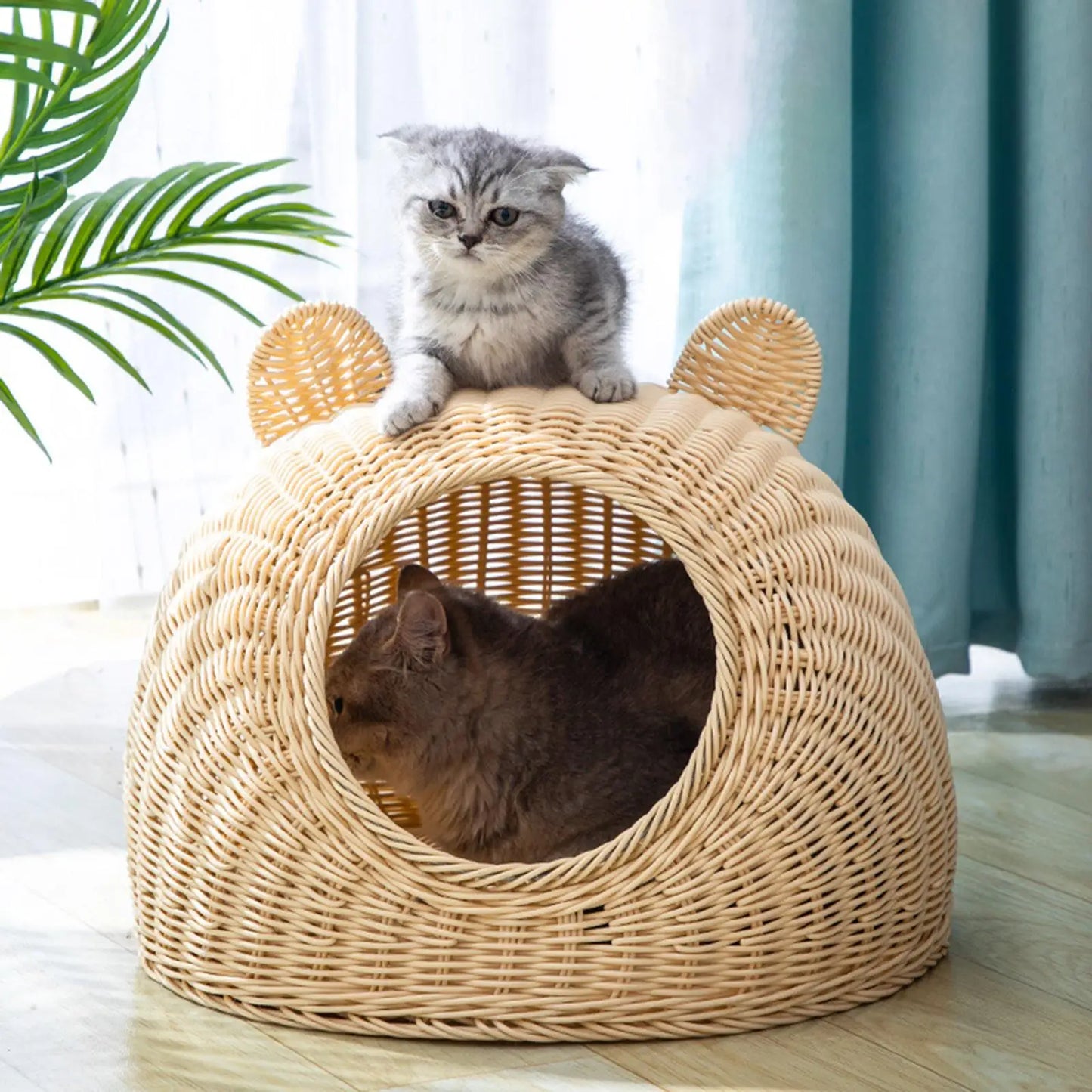 Solid Rattan Cat Bed Round Indoor Nest Cat Shaped Hideaway Kitty Interactive