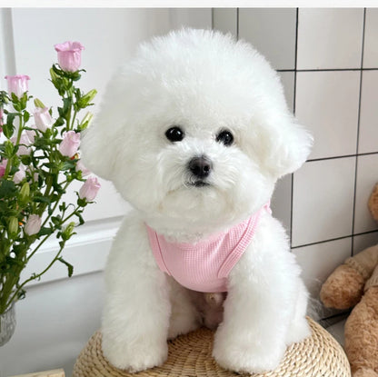 Dog Clothes for Small Dogs Thin Cute Dog Vest Puppy Clothes Breathable Chihuahua  Clothes Cat Vest Pet Supplies