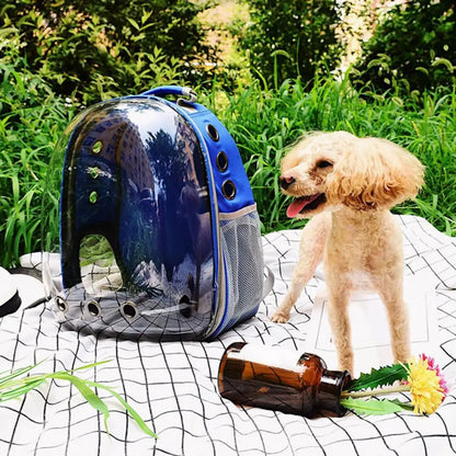 Manufacturer directly supplies cat bags, pet backpacks, portable and transparent space capsules, cat supplies, breathable backpa