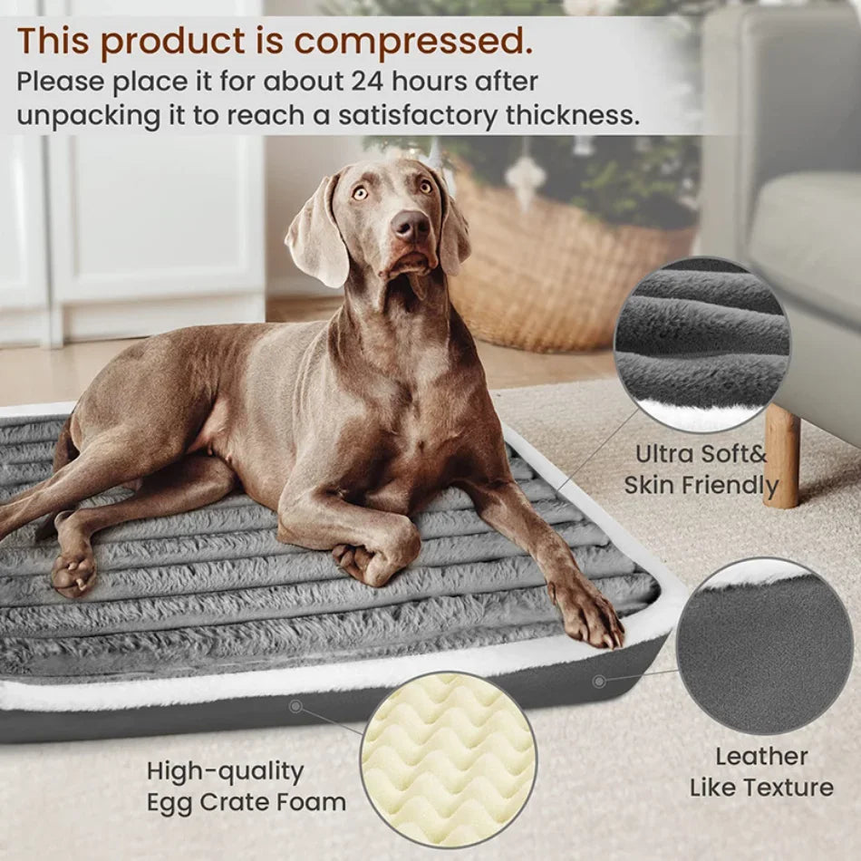 Elastic Cat Bed for a Small Dog Sleeping Mat Remolvable Large Dog Bed with Zipper Washable Cat Kennel for Medium Dog Accessories
