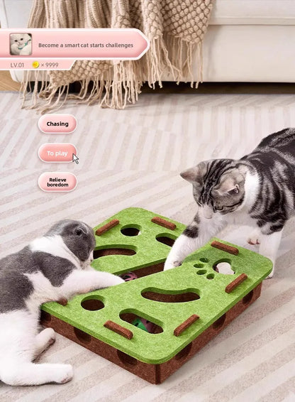 Pet Cat Toys Felt Puzzle Box Interactive Exercise Hunting Game For Indoor Cats Sports Accessories Entertainment