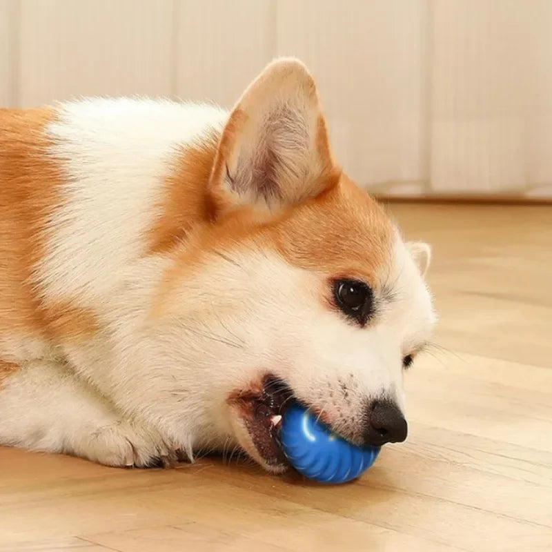 DOG Toy Ball Automatic Moving Dog Toy Ball Smart USB Jumping Rotating Interactive Dog Chew Toy Ball for Puppy Ball Toy
