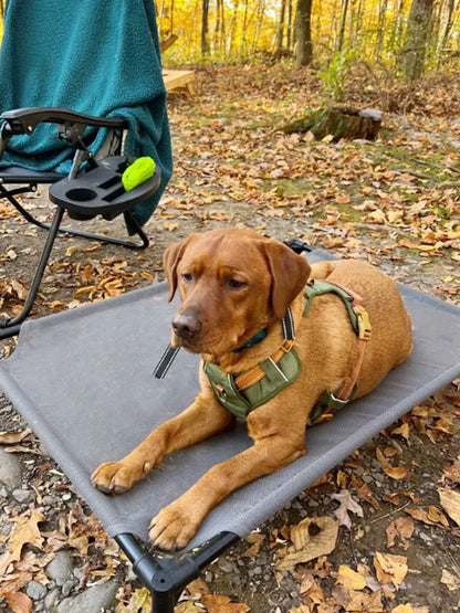 HP308--Reflective Durable Pet Harness,Adjustable webbing make the harness Well-fitting for dogs.Soft mesh  under the fabric.