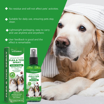 Mite Removal Spray Cats Dogs Flea Killer Itching Relief Remove Ticks Cat Allergy Treatments Anti Lice Insect Pet Skin Care Spray