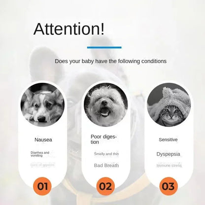 Pet probiotics regulate stomach and enhance appetite cats and dogs general diarrhea constipation vomiting