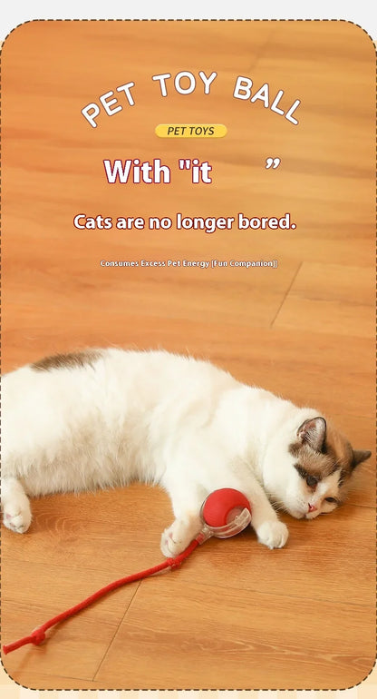 Smart Interactive Cat Toys Ball Auto Electric Rolling Ball Toys for Cat Kitty Pet Automatic Training USB Rechargeable Cat Toy