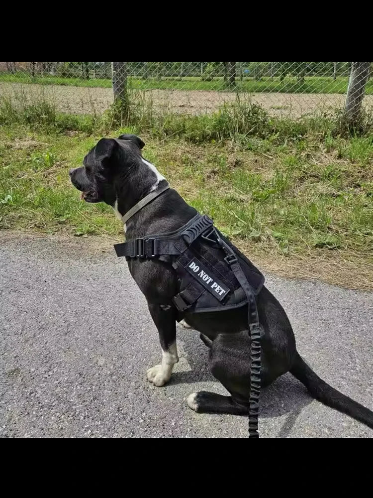 Large Dog Collar Military Dog Harness Leash Molle Pouches Pet Training Vest Tactical German Shepherd Harnesses Dogs Accessories