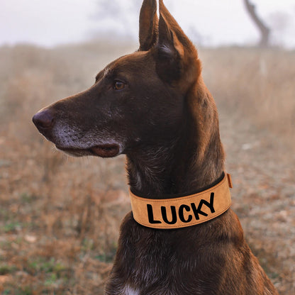 Customized Leather Dog Collar Personalized Wide Padded ID Collars Free Print Name Number For Medium Large Dogs Dogs Greyhound