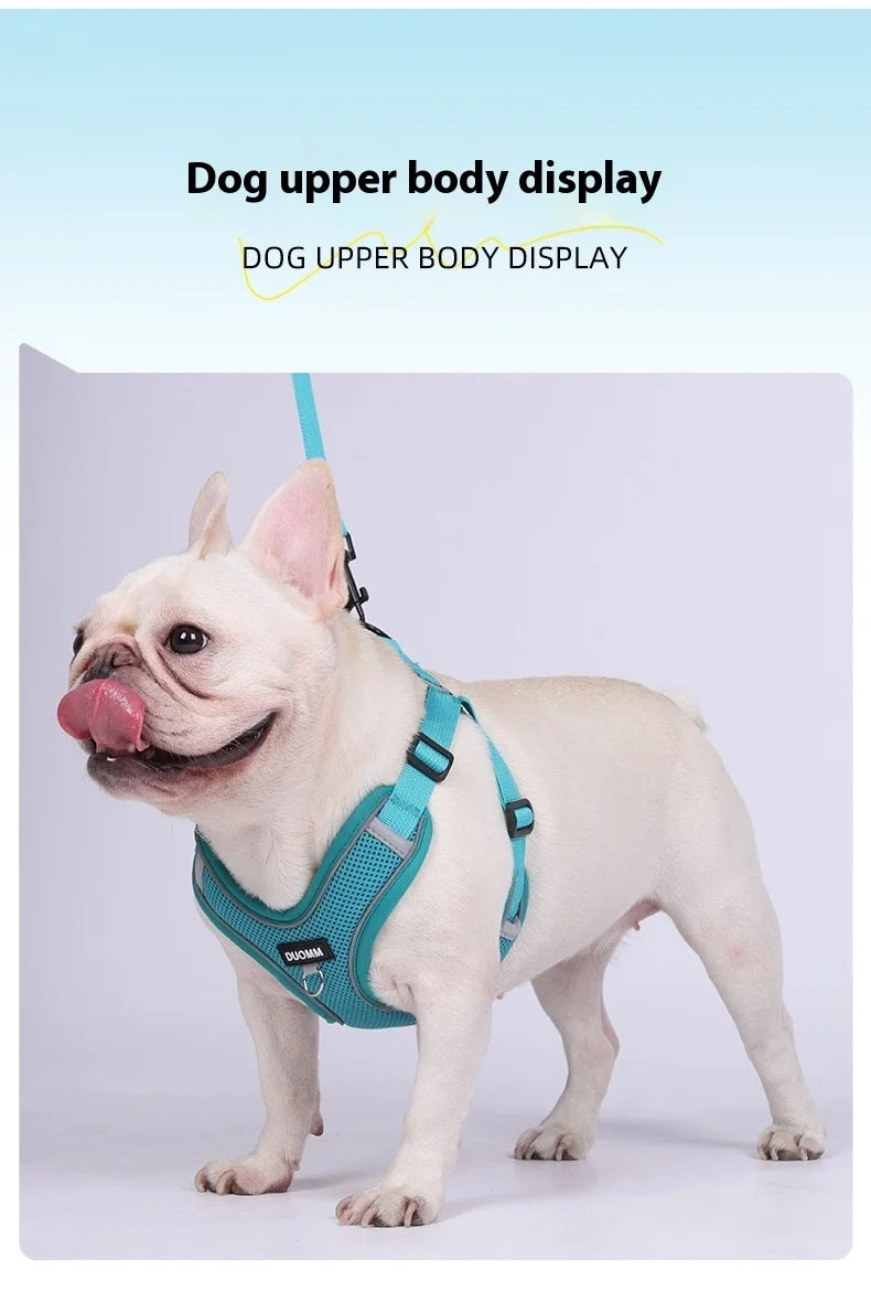 Dog Harness Leash Set Small Medium Dog Cat Chest Strap Adjustable Reflective Breathable Walking Training Vest Pet Accessories