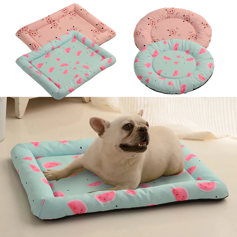 Cozy Pet Bed for Dogs & Cats Washable Round/Square House Cuddle Pad, Small Medium Large Mat for Puppy Kitten